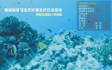海洋觀測系統：水下波浪在線觀測系統